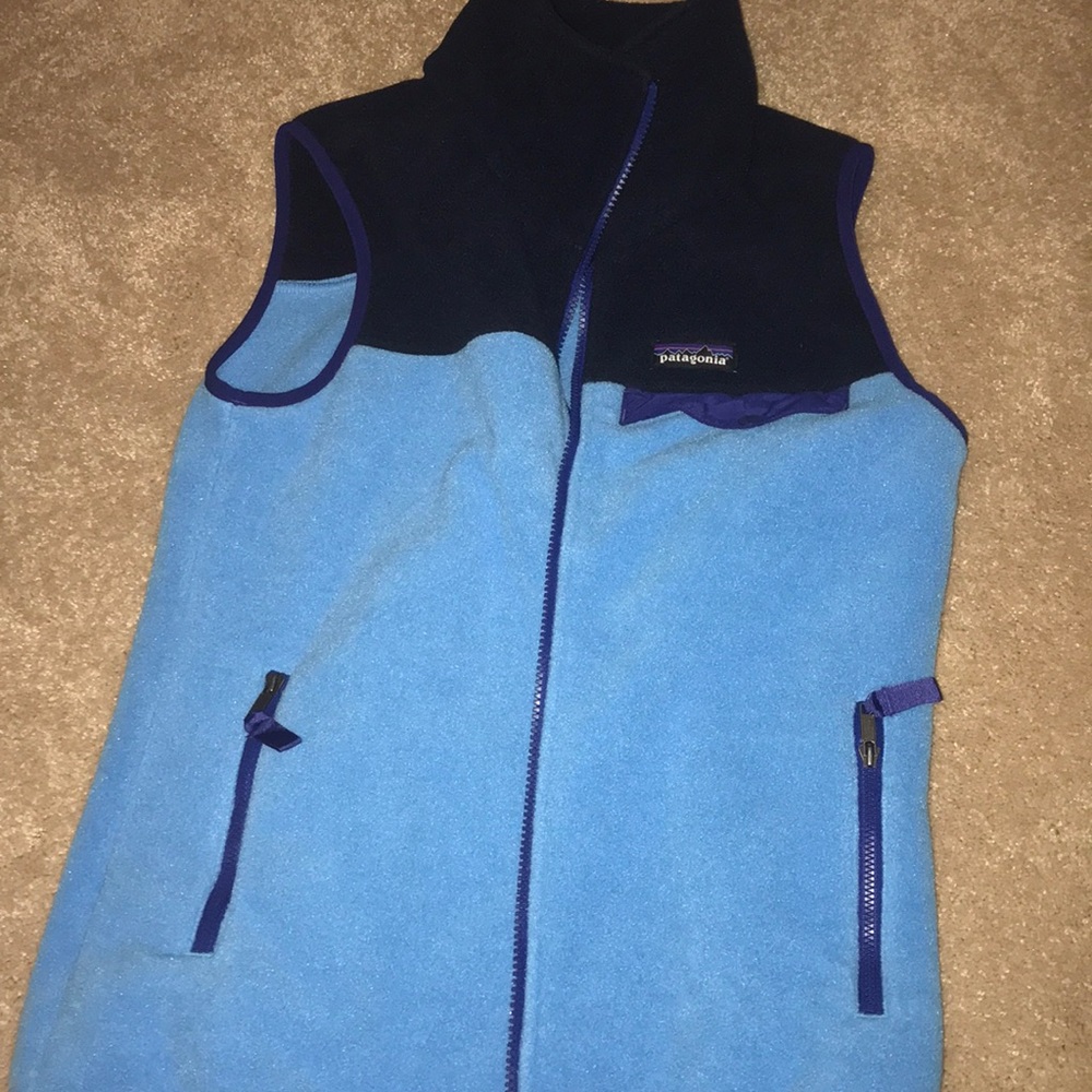 Navy and light blue Patagonia zip up vest
